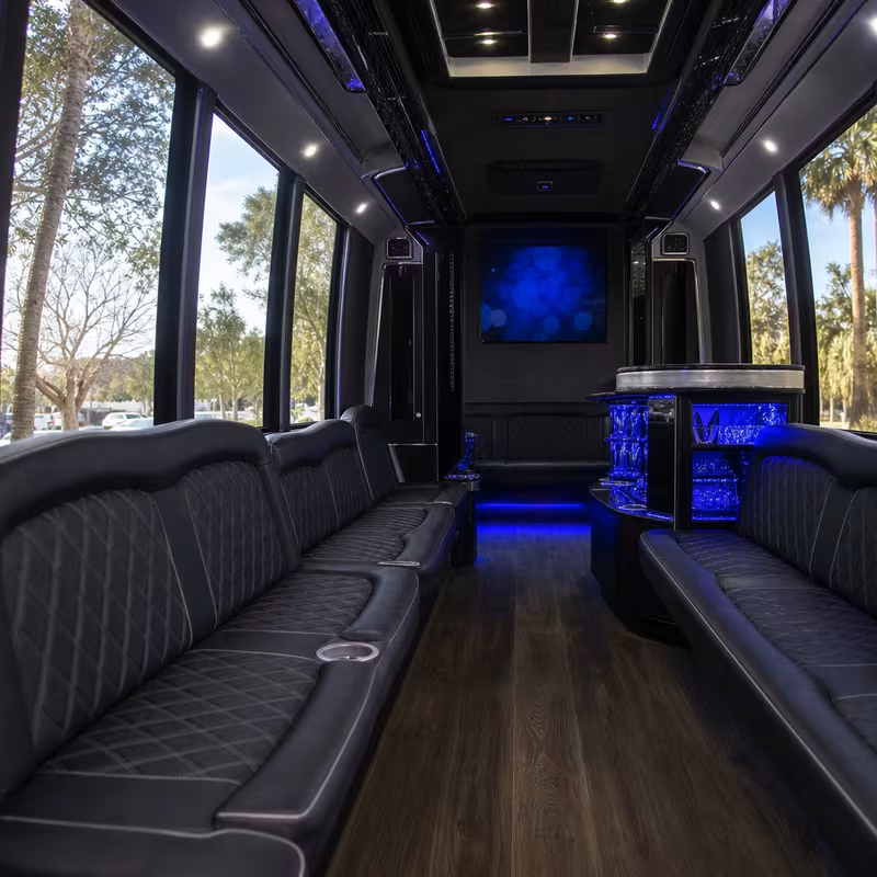 Passenger watching the San Antonio scenery during a regional party bus road trip