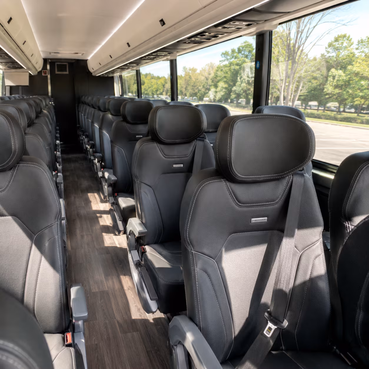San Antonio School Event Transportation party bus interior